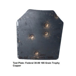 Equipo Táctico Chaleco Muircat MOLLE Nivel III+ AR500