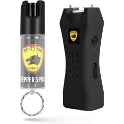 Mini linterna de pistola paralizante recargable y llavero de defensa personal en aerosol de pimienta